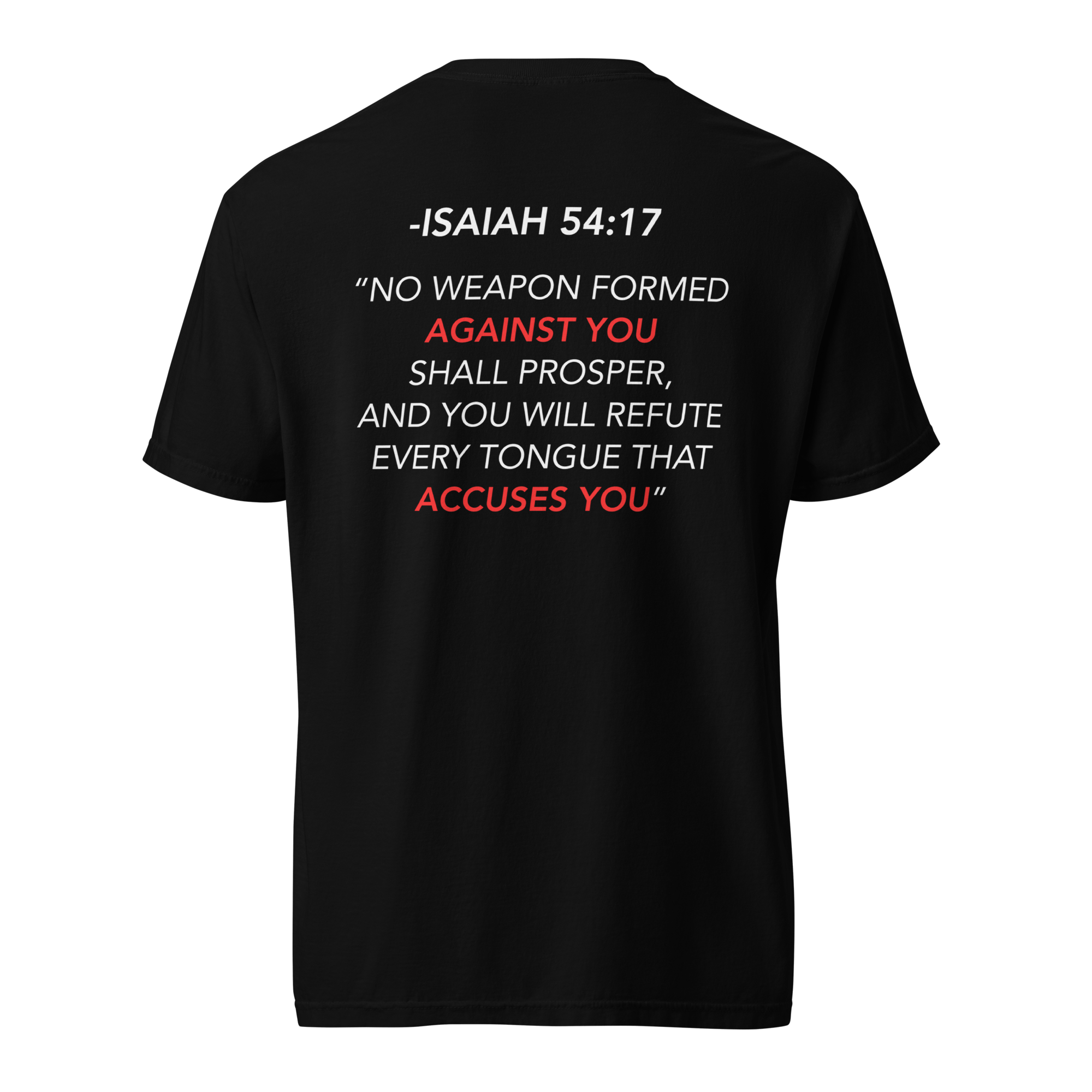 unisex-garment-dyed-heavyweight-t-shirt-black-back-669cae580aa6a